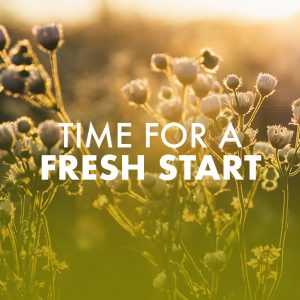 Time For A Fresh Start