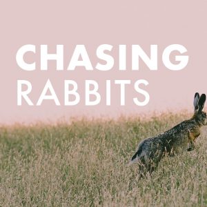 Chasing Rabbits