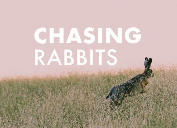 Chasing Rabbits