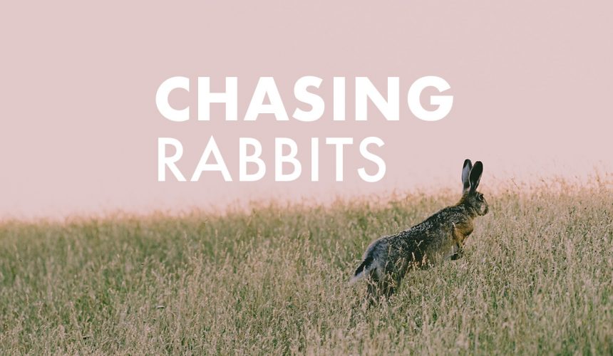 Chasing Rabbits