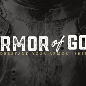 Understand Your Armor – Shield