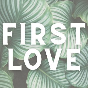 Your First Love