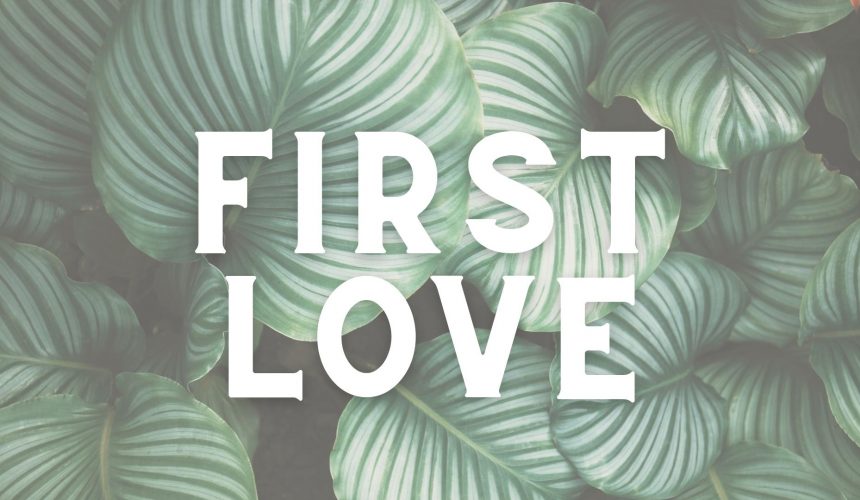 Your First Love