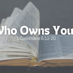 Who Owns You?