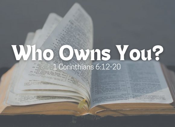 Who Owns You?