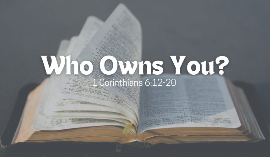 Who Owns You?