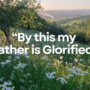 By This My Father Is Glorified