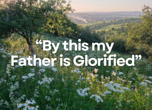 By This My Father Is Glorified