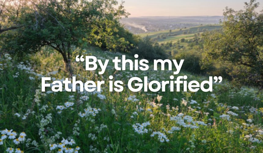 By This My Father Is Glorified