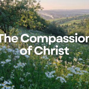 The Compassion of Christ