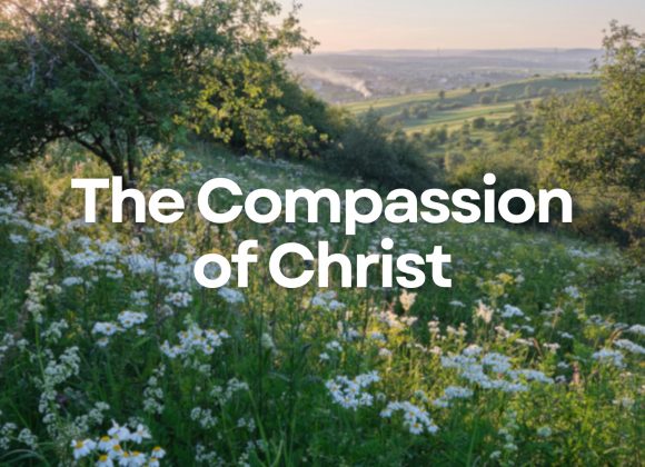 The Compassion of Christ